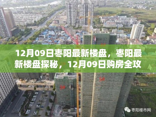 12月09日枣阳最新楼盘探秘,购房全攻略