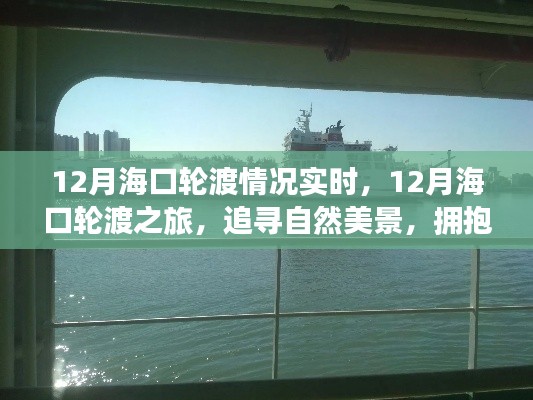 12月海口轮渡之旅,探寻自然美景,感受宁静与喜悦的拥抱