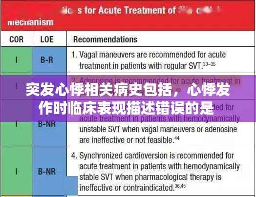 突发心悸相关病史包括,心悸发作时临床表现描述错误的是