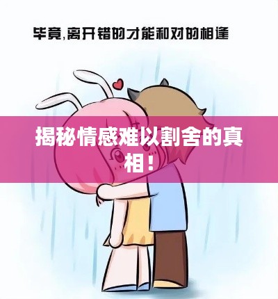 揭秘情感难以割舍的真相!