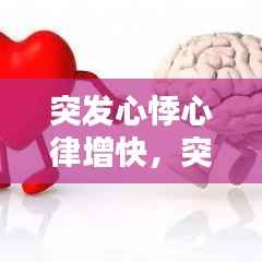 突发心悸心律增快,突发心率增快