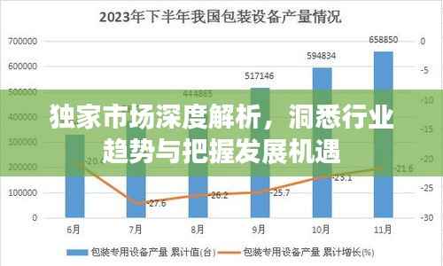 独家市场深度解析,洞悉行业趋势与把握发展机遇