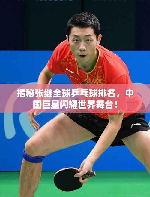 揭秘张继全球乒乓球排名,中国巨星闪耀世界舞台!