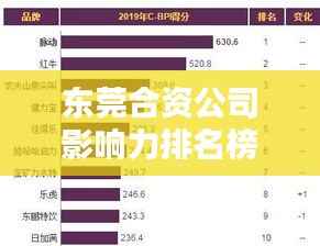 东莞合资公司影响力排名榜单揭晓,深度解析行业巨头及其影响力