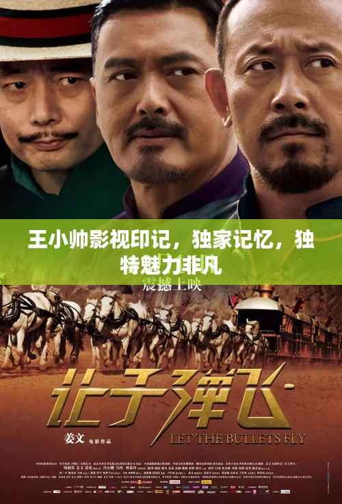王小帅影视印记,独家记忆,独特魅力非凡