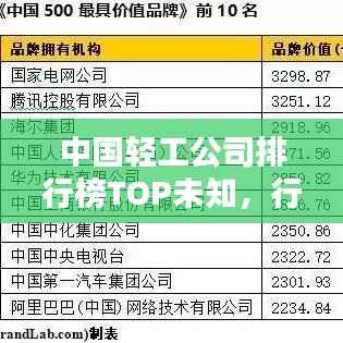 中国轻工公司排行榜TOP未知,行业巨头揭秘!