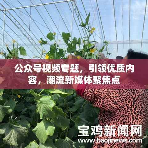 公众号视频专题,引领优质内容,潮流新媒体聚焦点