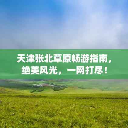 天津张北草原畅游指南,绝美风光,一网打尽!