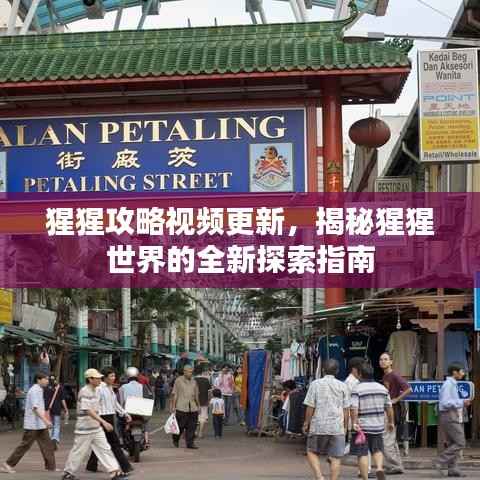 猩猩攻略视频更新,揭秘猩猩世界的全新探索指南