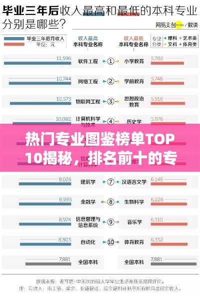热门专业图鉴榜单TOP10揭秘,排名前十的专业大盘点