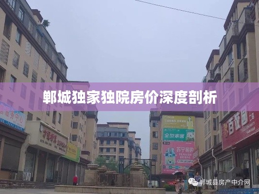 郸城独家独院房价深度剖析