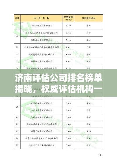 济南评估公司排名榜单揭晓,权威评估机构一览