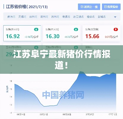 江苏阜宁最新猪价行情报道！