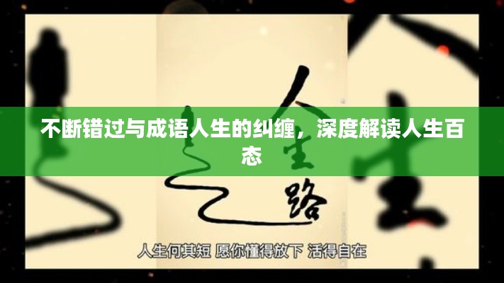 不断错过与成语人生的纠缠，深度解读人生百态