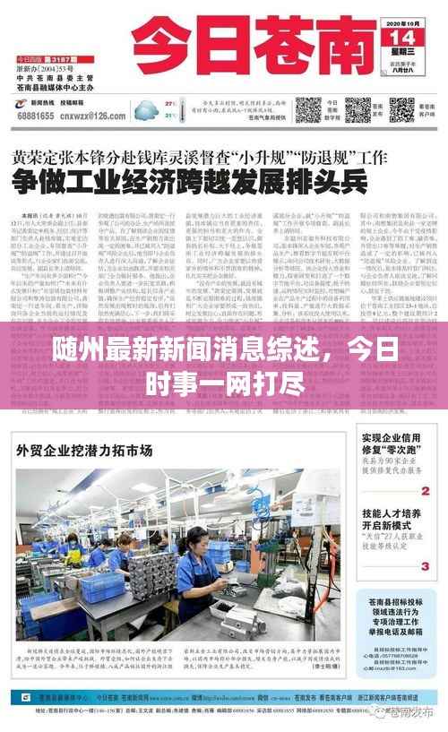 随州最新新闻消息综述,今日时事一网打尽