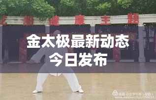 金太极最新动态今日发布