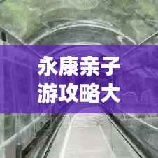 永康亲子游攻略大全,玩转亲子游,尽享美好时光!