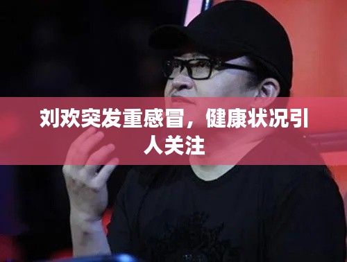 刘欢突发重感冒,健康状况引人关注