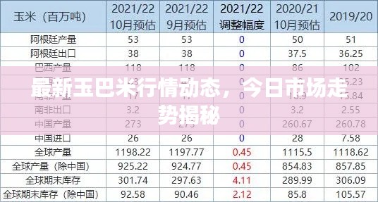 最新玉巴米行情动态,今日市场走势揭秘