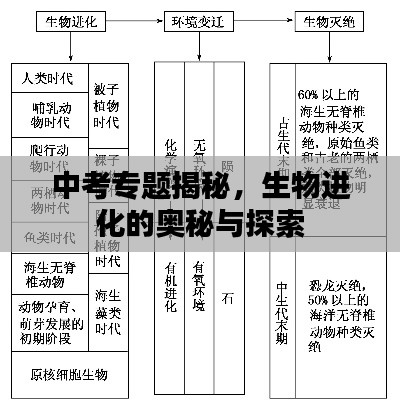 中考专题揭秘，生物进化的奥秘与探索