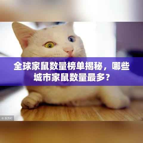 全球家鼠数量榜单揭秘,哪些城市家鼠数量最多?