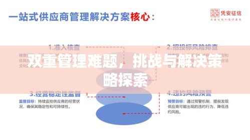双重管理难题,挑战与解决策略探索