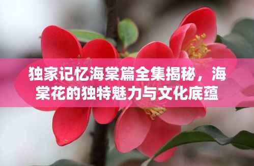 独家记忆海棠篇全集揭秘,海棠花的独特魅力与文化底蕴