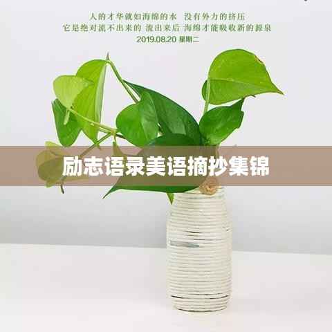 励志语录美语摘抄集锦