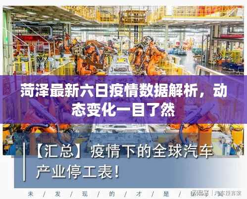 菏泽最新六日疫情数据解析,动态变化一目了然