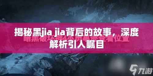 揭秘黑jia jia背后的故事，深度解析引人瞩目