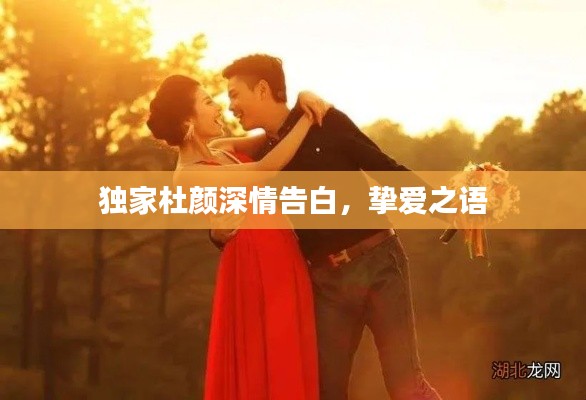 独家杜颜深情告白,挚爱之语